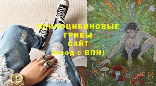 МДПВ Алзамай