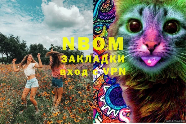 прущие грибы Абинск