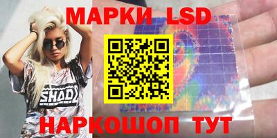 прущие грибы Камень-на-Оби